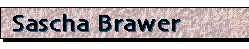 Sascha Brawer